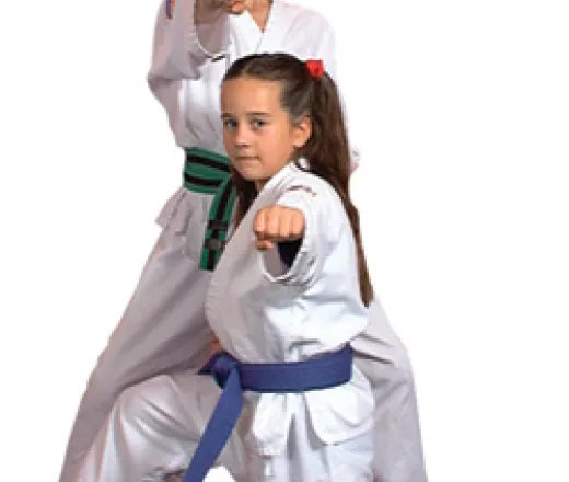 mini ninja kids martial arts